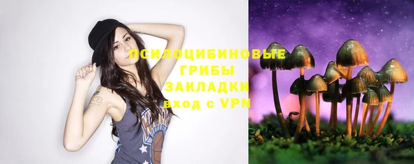 МДПВ Алзамай