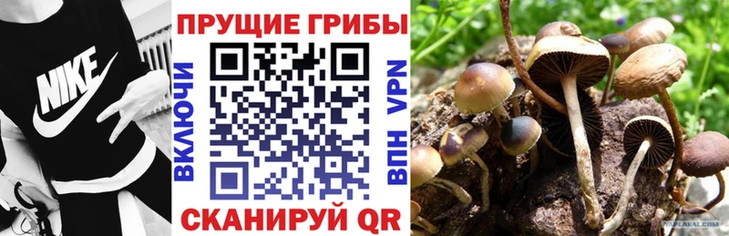 Галлюциногенные грибы ЛСД  купить наркоту  mega как войти  Цивильск 